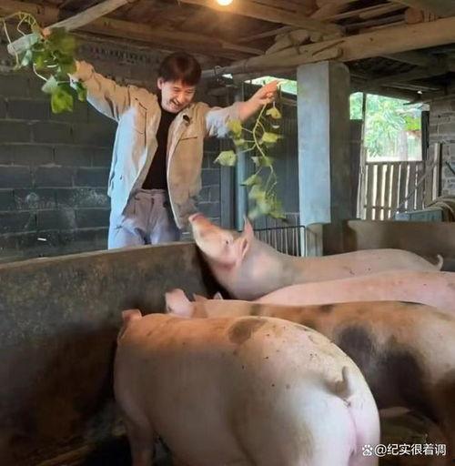 吃瓜猪娱乐多人产房,揭秘多人产房背后的故事与真相