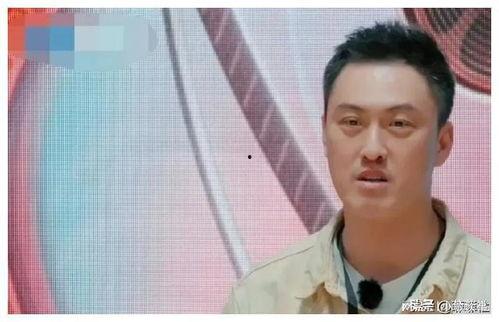 陆沉娱乐圈吃瓜,揭秘明星背后的吃瓜故事