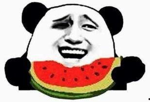 吃瓜群众在线吃瓜网,揭秘娱乐圈幕后故事