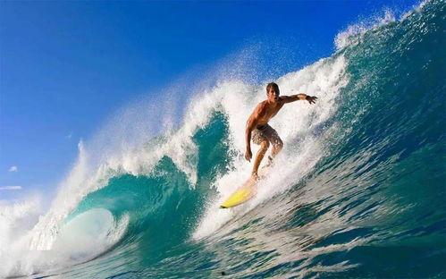 娱乐吃瓜君冲浪