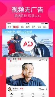 娱乐吃瓜视频模板下载,最新吃瓜视频,带你领略明星幕后故事!