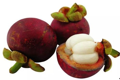 娱乐吃瓜酱山竹,娱乐吃瓜酱的神秘魅力揭秘