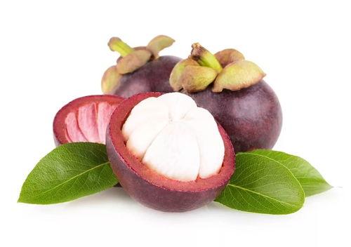 娱乐吃瓜酱山竹,娱乐吃瓜酱的神秘魅力揭秘